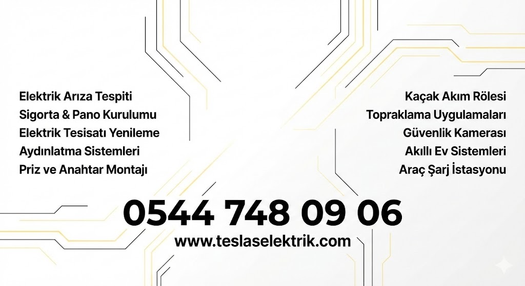 Teslas Elektrik Hero